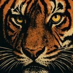 Why Eye of the Tiger Took Over Rocky III (And Rewrote the Sound of the Franchise) Rocky Eye of the Tiger